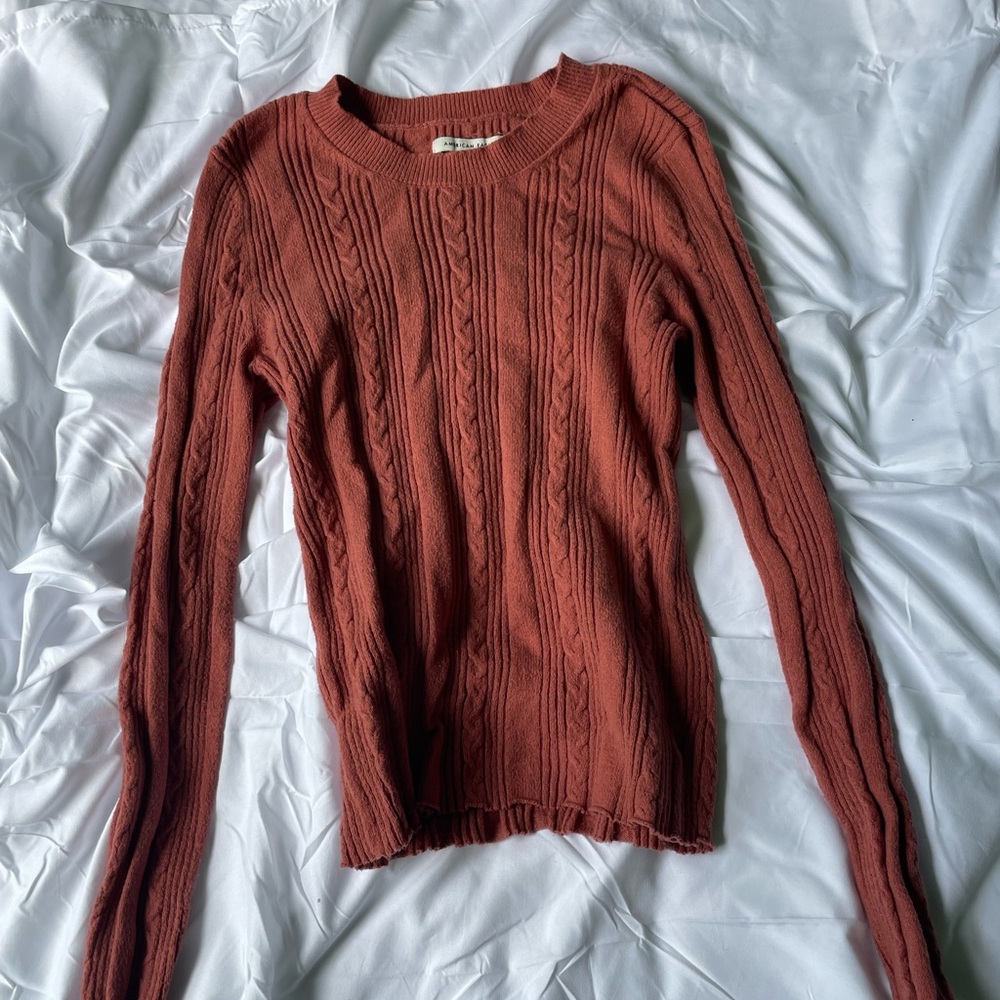 Anerican Eagle Sweater